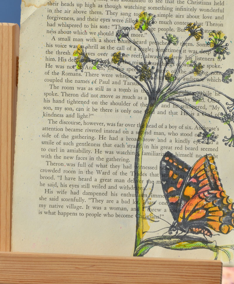 sei lifestyle Tumble Dye Project Ideas + Giveaway