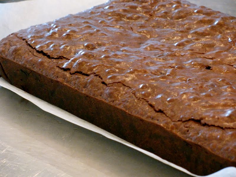 nz flavour Chocolate Brownie