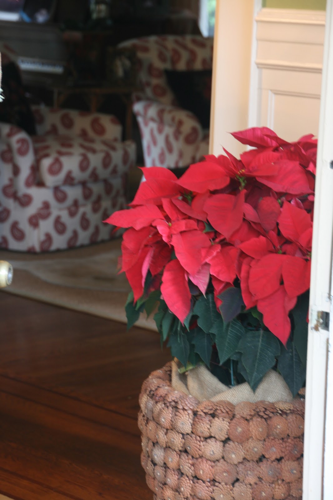 design The Holiday Entry