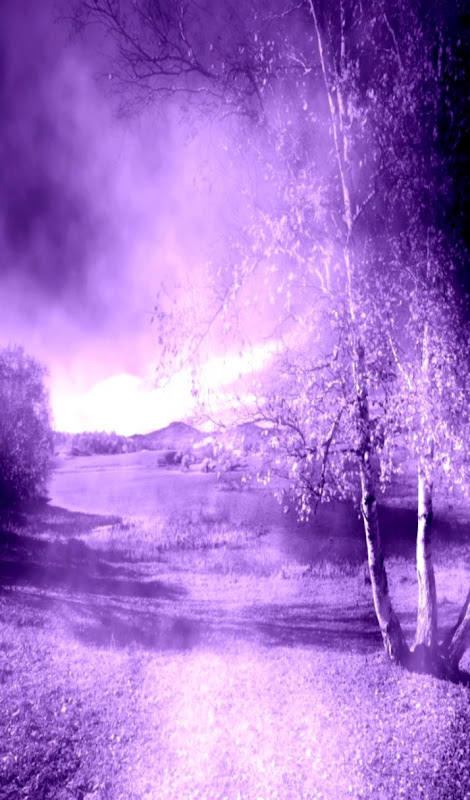 Purple Nature Wallpaper WallpaperSafari