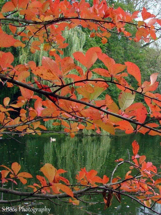 Augenblicke Page 2 Chan 35493741 Rssing Com