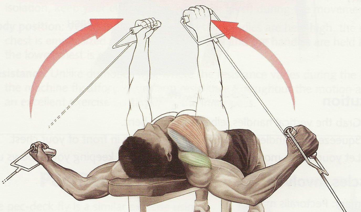 Chest Workout Tips and Exercise Bodybuilding and Fitness Zone