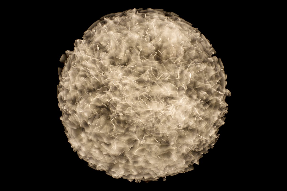 The RADIANT LIGHT The invisible forces that shapes our reality by