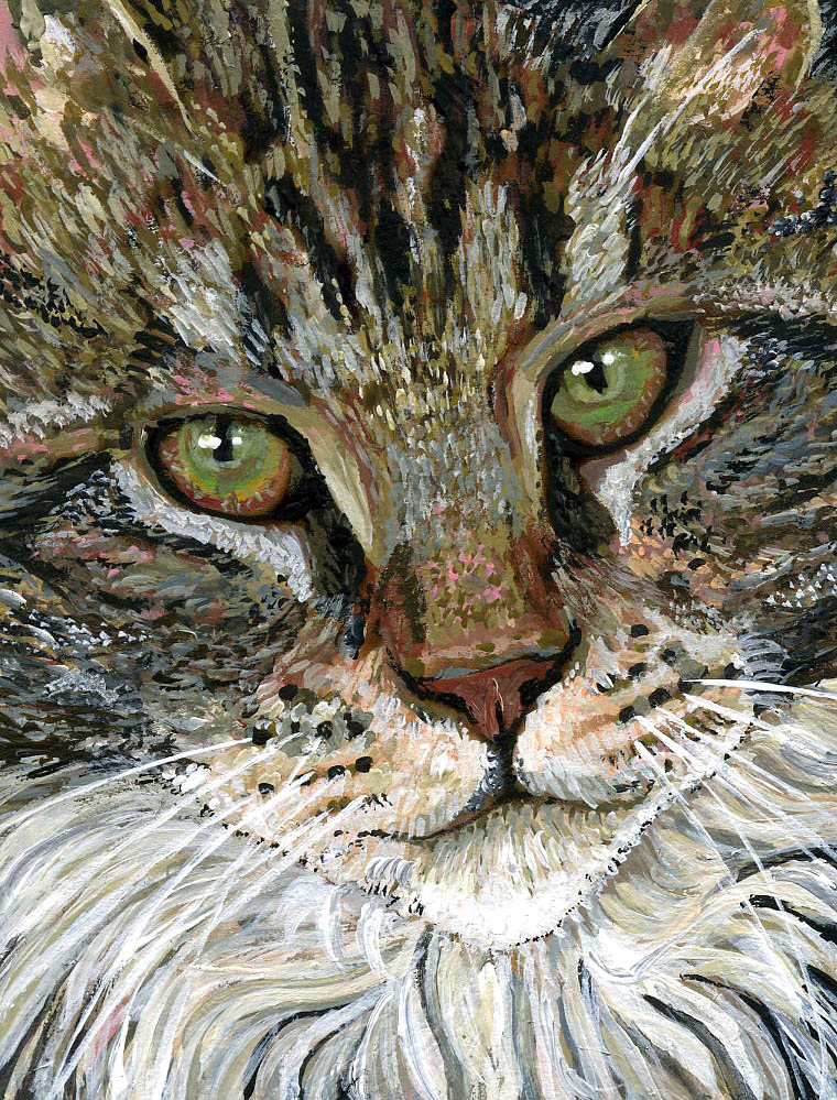 Brown Tabbies