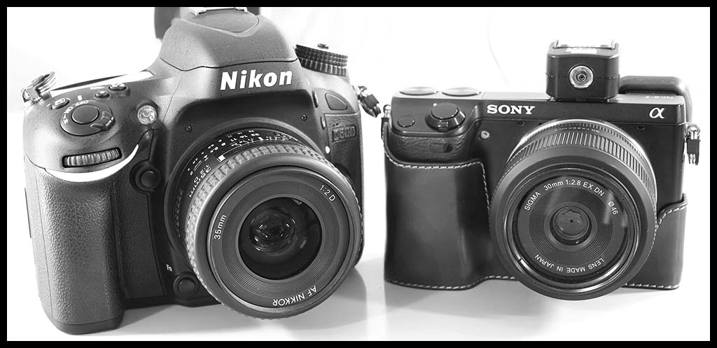 Nikon D600 - Sony NEX-7 - 24MP 35mm and APS-C sized sensors compared at
