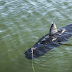 Navy Seals (Marinha do EUA) cria drone aquático parecido com tubarão.