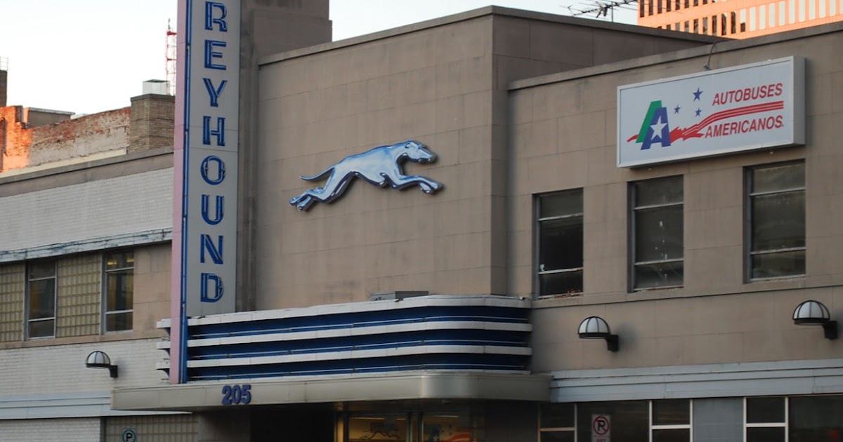 Terrell Daily Photo Go Greyhound