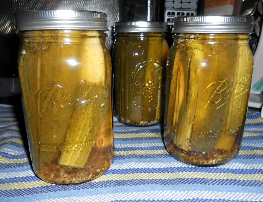 Dill Pickle Spears Meatless Monday HezziD's Books and Cooks