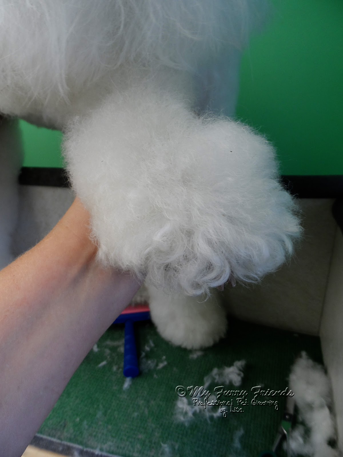 Are Mats Bad For Dogs