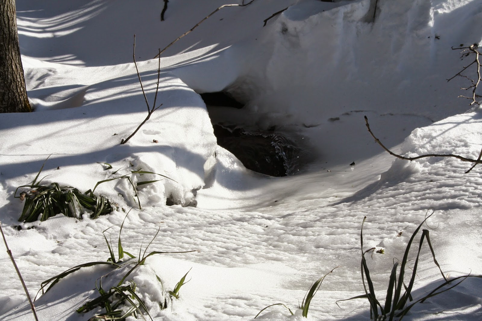 on rencontre des gens qui donne un sens a la vie