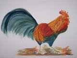 Watercolor Rooster