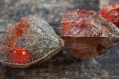 chinese lanterns