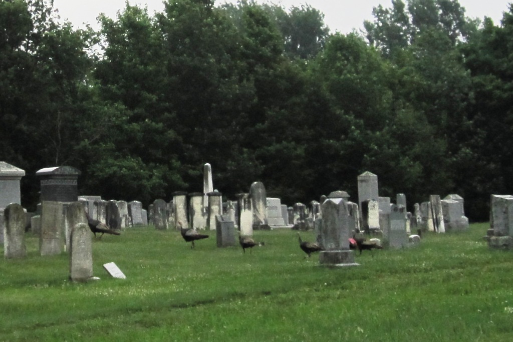 Windswept Adventure Parishville, New York Part 2