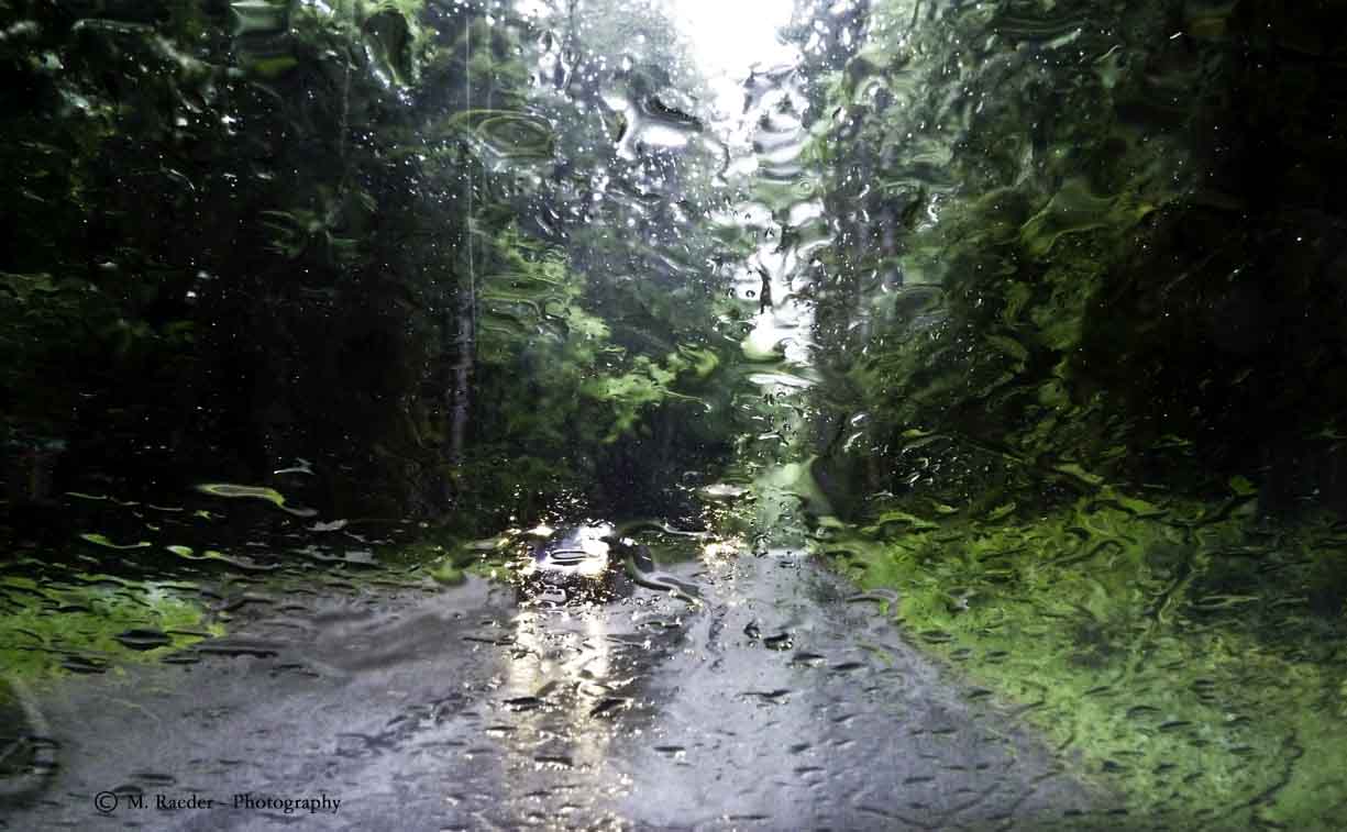 Rainy Road