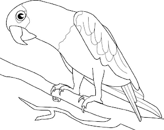 Parrot Clip Art :: Line Drawing :: Outline