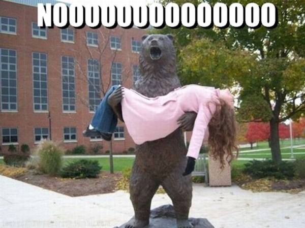 funny-bear-statue-no.jpg