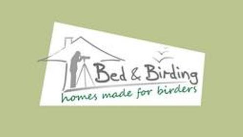 Bed and Birding