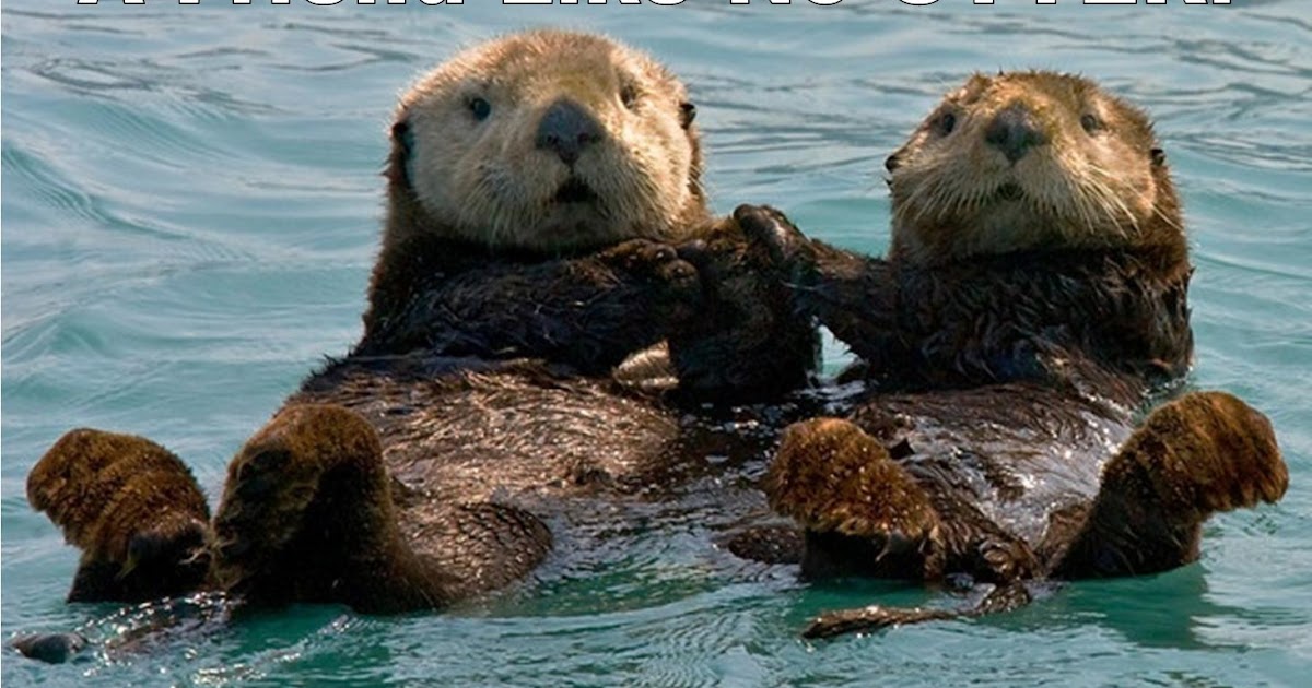 Romantic Renovations