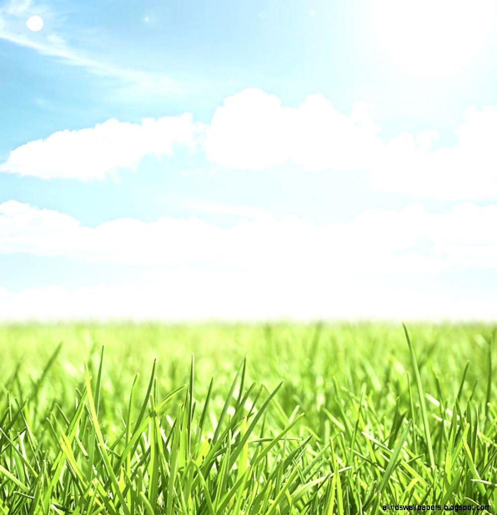 Home Dayspring Programs Baltimore Maryland Home Dayspring Programs Baltimore Maryland