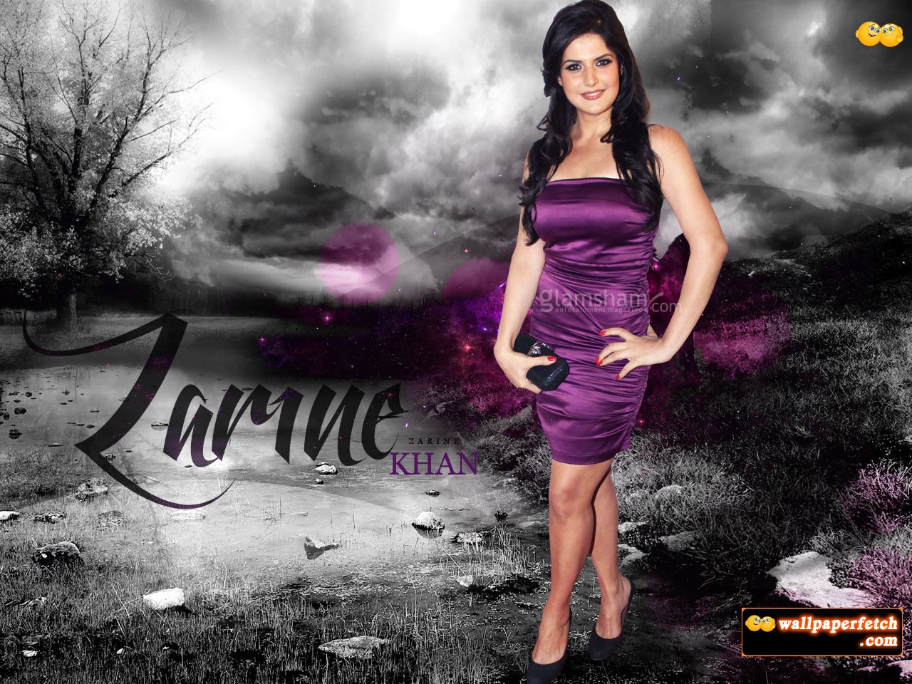 Wallpaper Fetch: Zarine Khan Wallpapers 2012