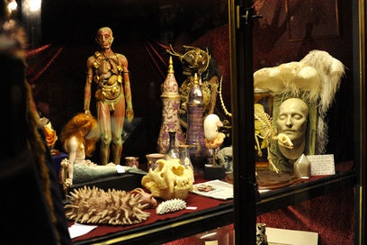 Boffins Bunker Steampunk Cornwall Laboratory How To Create A Not