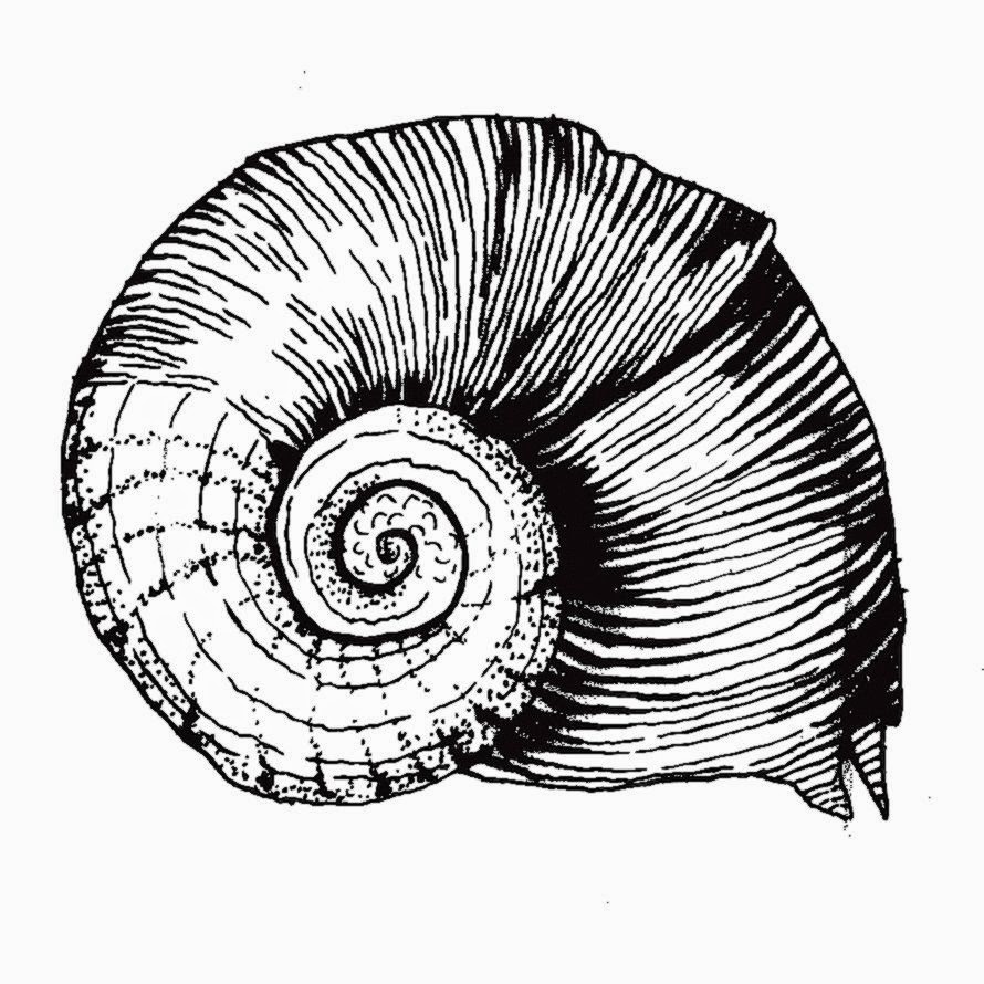 scientific drawings 1 drawing escape scientific drawings 1 drawing escape