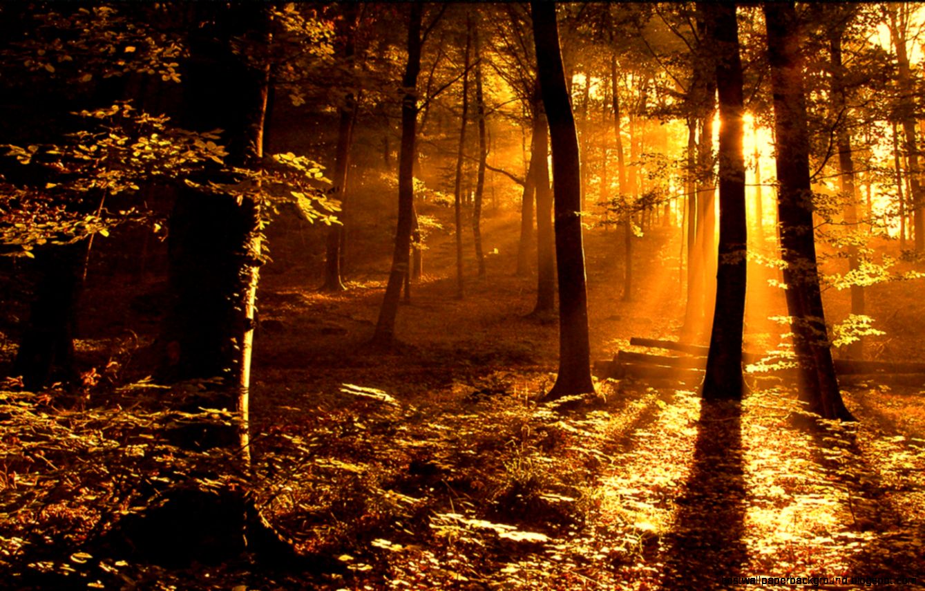 High Resolution Wallpapers Nature Gallery High Resolution Wallpapers Nature Gallery