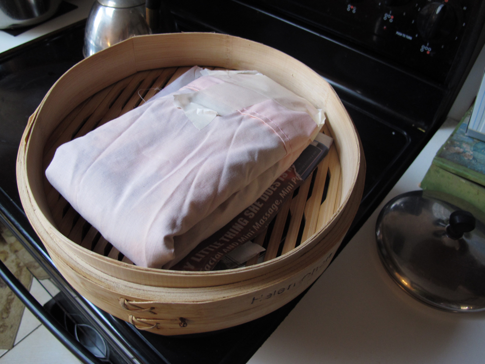 Colors That Sing By Vivien Pollack Silk Painting Steaming Steam Set