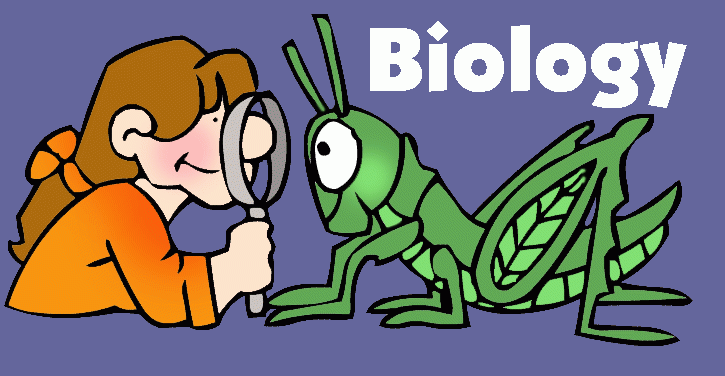 Biology homework help online Biology homework help online
