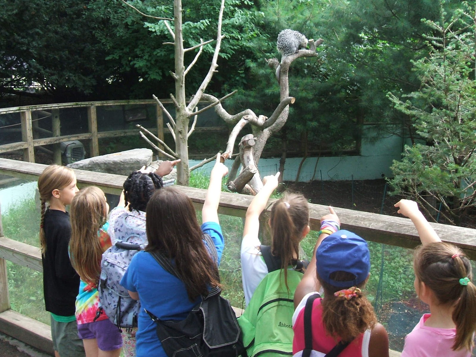 Visit Franklin Park Zoos Hours, Coupons, Hotels, MapChoice Your Holiday