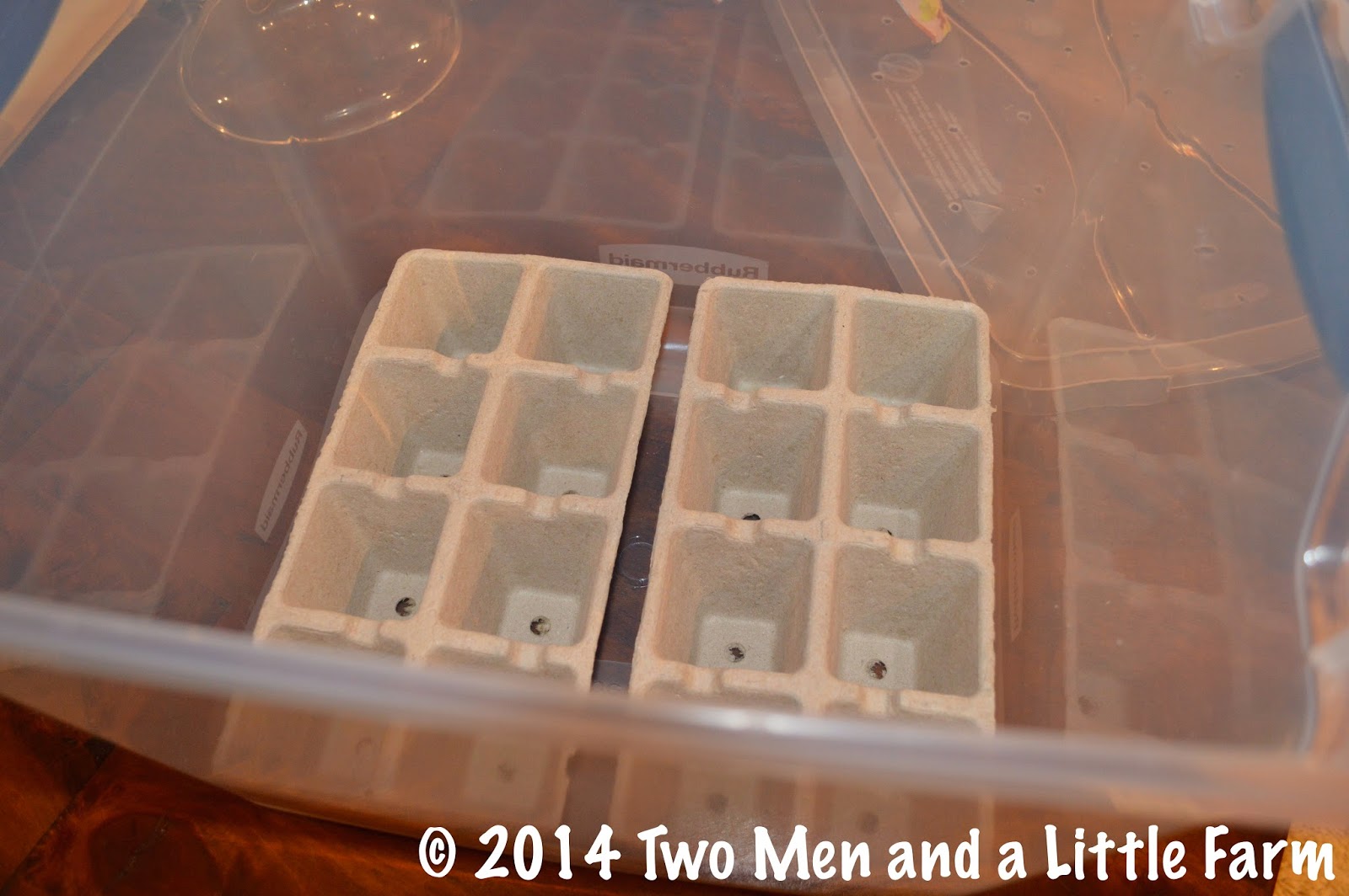 Two Men and a Little Farm DIY SEED STARTING GREENHOUSE BOX