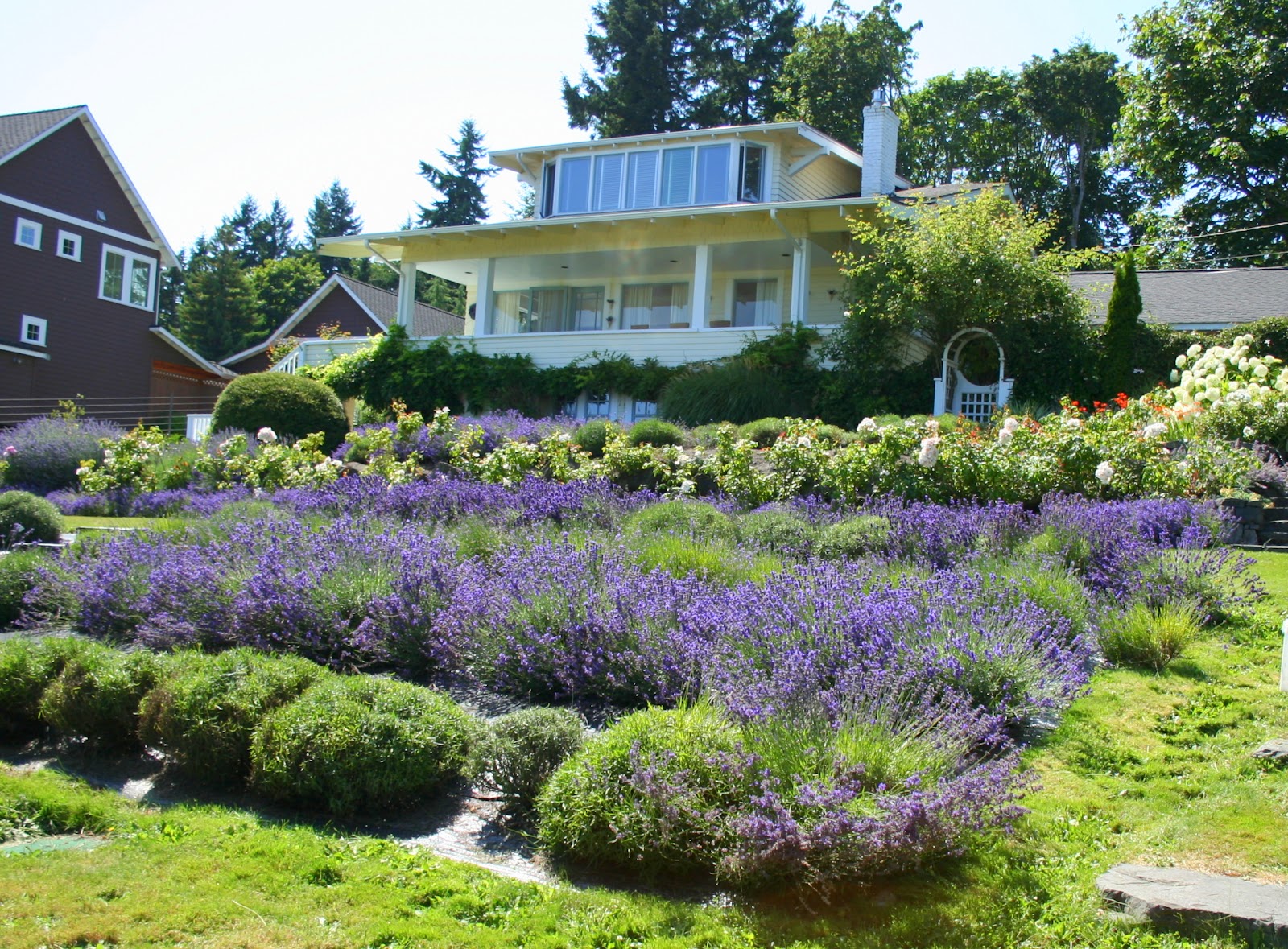 Cheers to Happy Lavender Hill Farm...