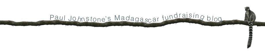 protecting madagascar