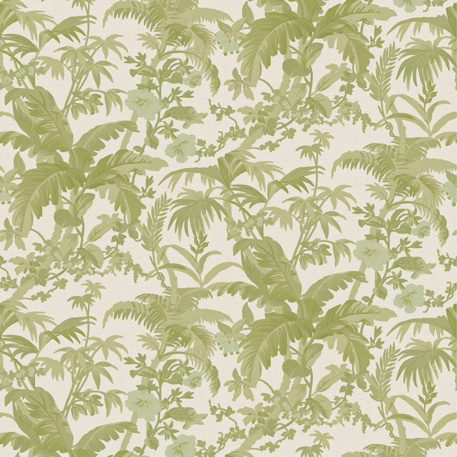 Aesthetic Oiseau Palm Frond Wallpaper