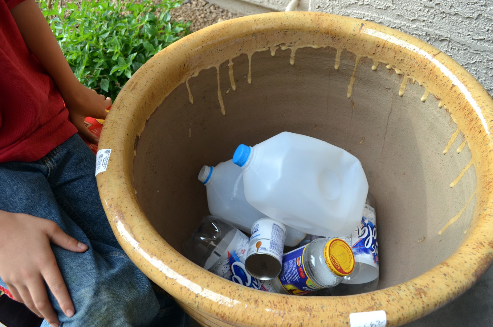 Why Adding Trash to Pots is a Good Idea Ramblings from a Desert Garden