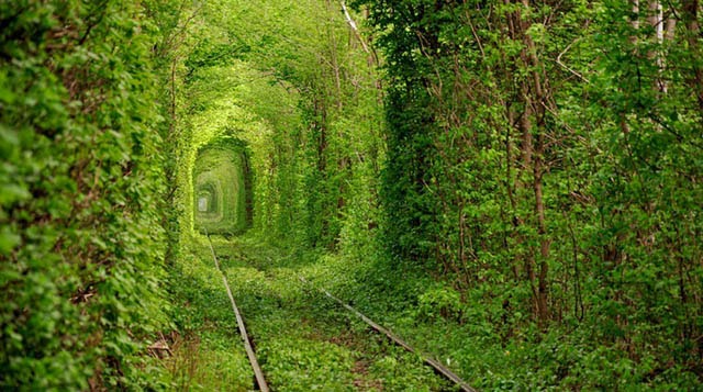Túnel del Amor en Kleven, Ucrania