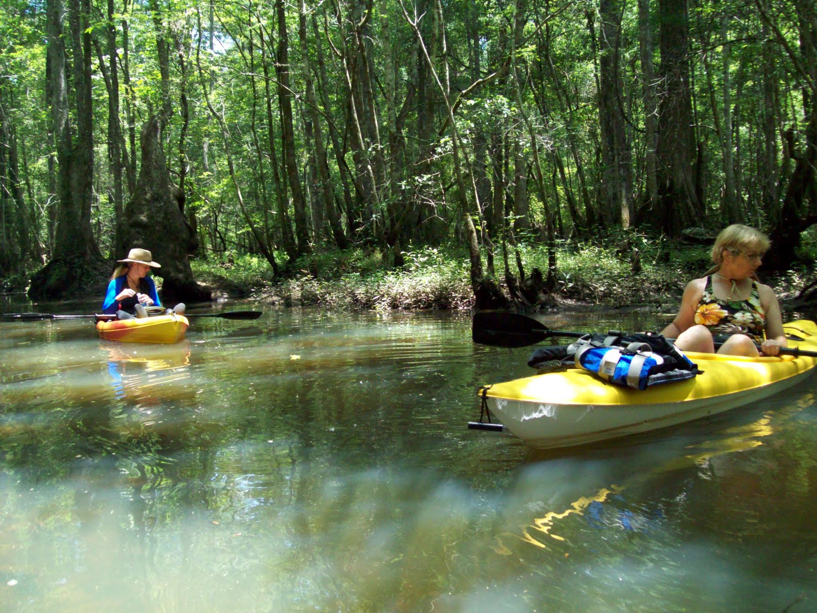 Lowcountry SC Kayaking 06/04/11 Wadboo Creek Trip
