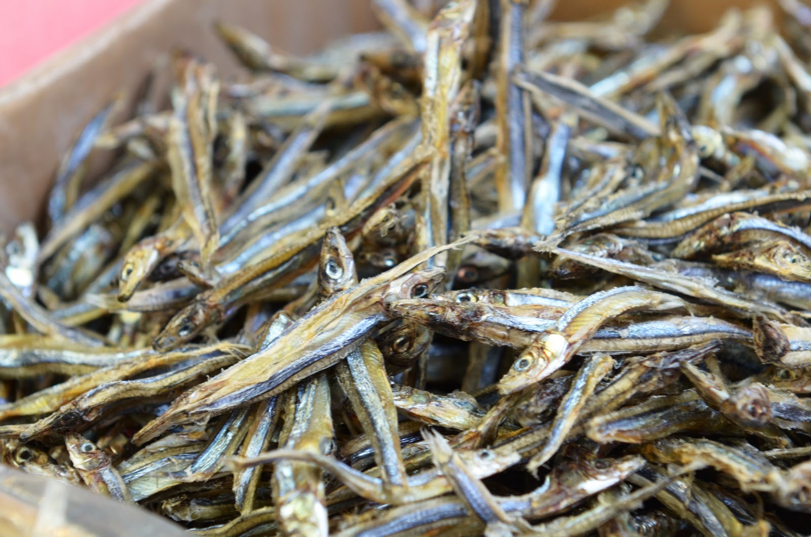 A Photographer's Life New York City, Oct 2011