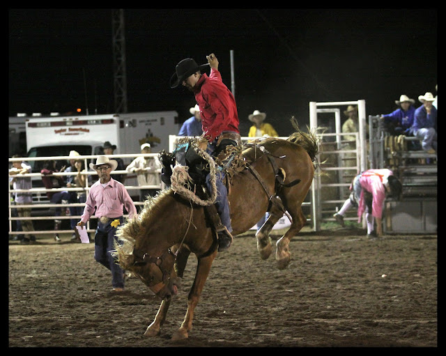 Saddle Bronc Riding Snowflake pioneer day rodeo talyor arizona