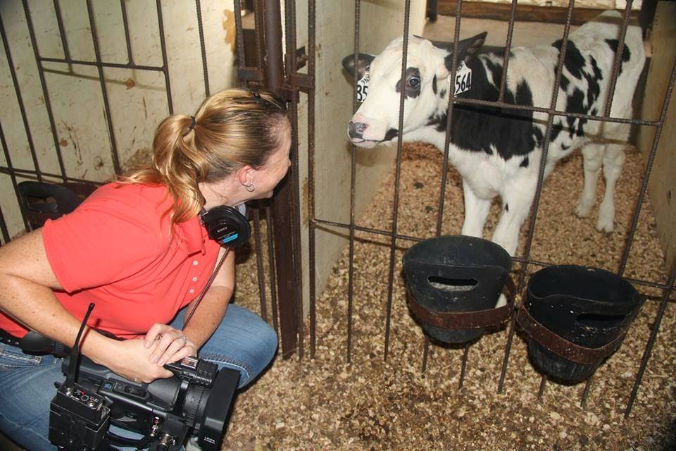 My Barnyard View T Is For Tour