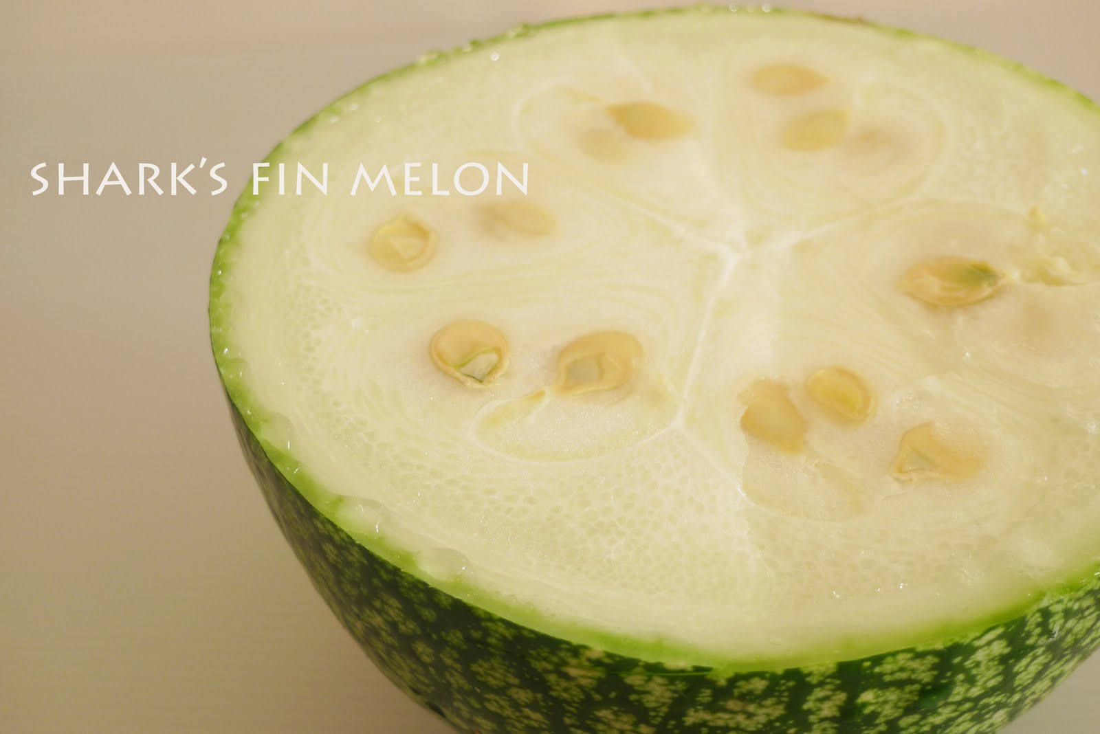 Minty's Kitchen Shark's Fin Melon Soup (鱼翅瓜汤)