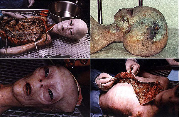 Dissection Of Alice Through The Looking Glass Dissection Of Alice Through The Looking Glass