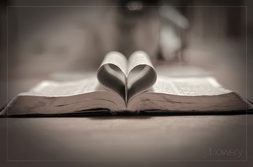 Love Of The Word