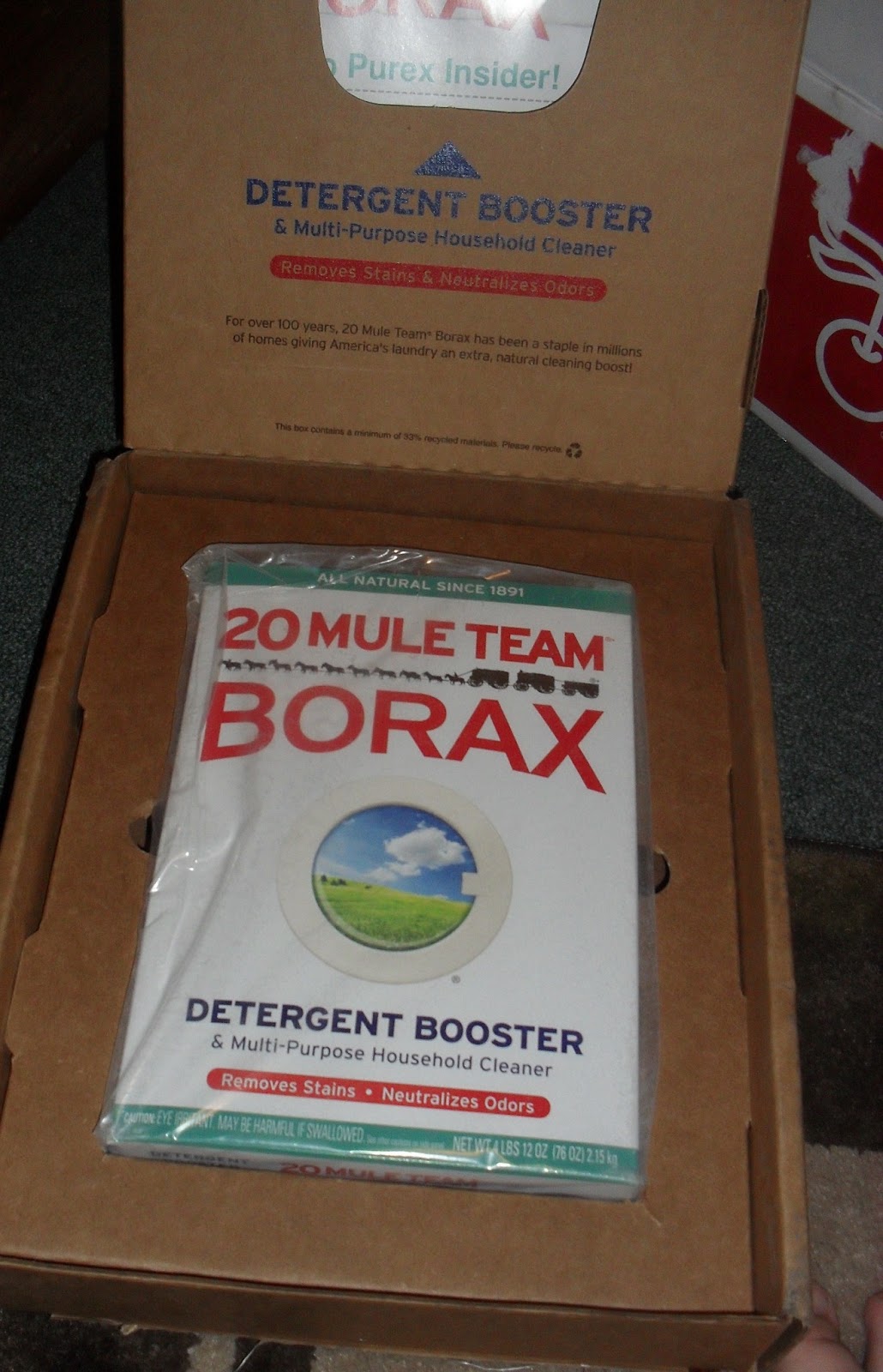 Simply Me 20 Mule Team Borax review and giveaway