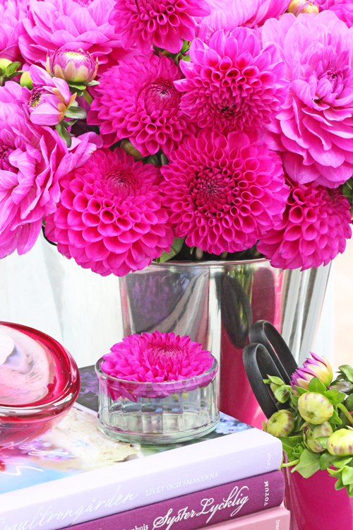 ...OF SPRING AND SUMMER... DoItYourself Flower Tips and Inspiration