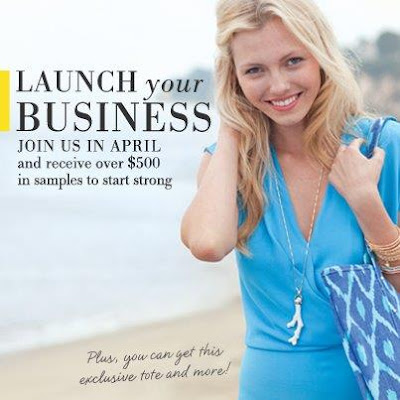 stella and dot review