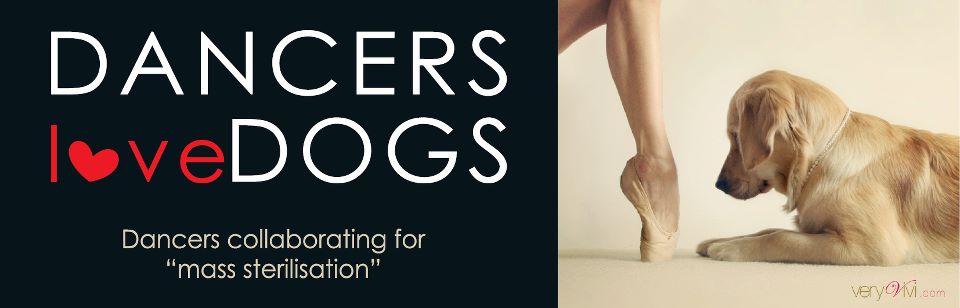 Dancers Love Dogs- Everything to do with Animals, love, passion and Dance