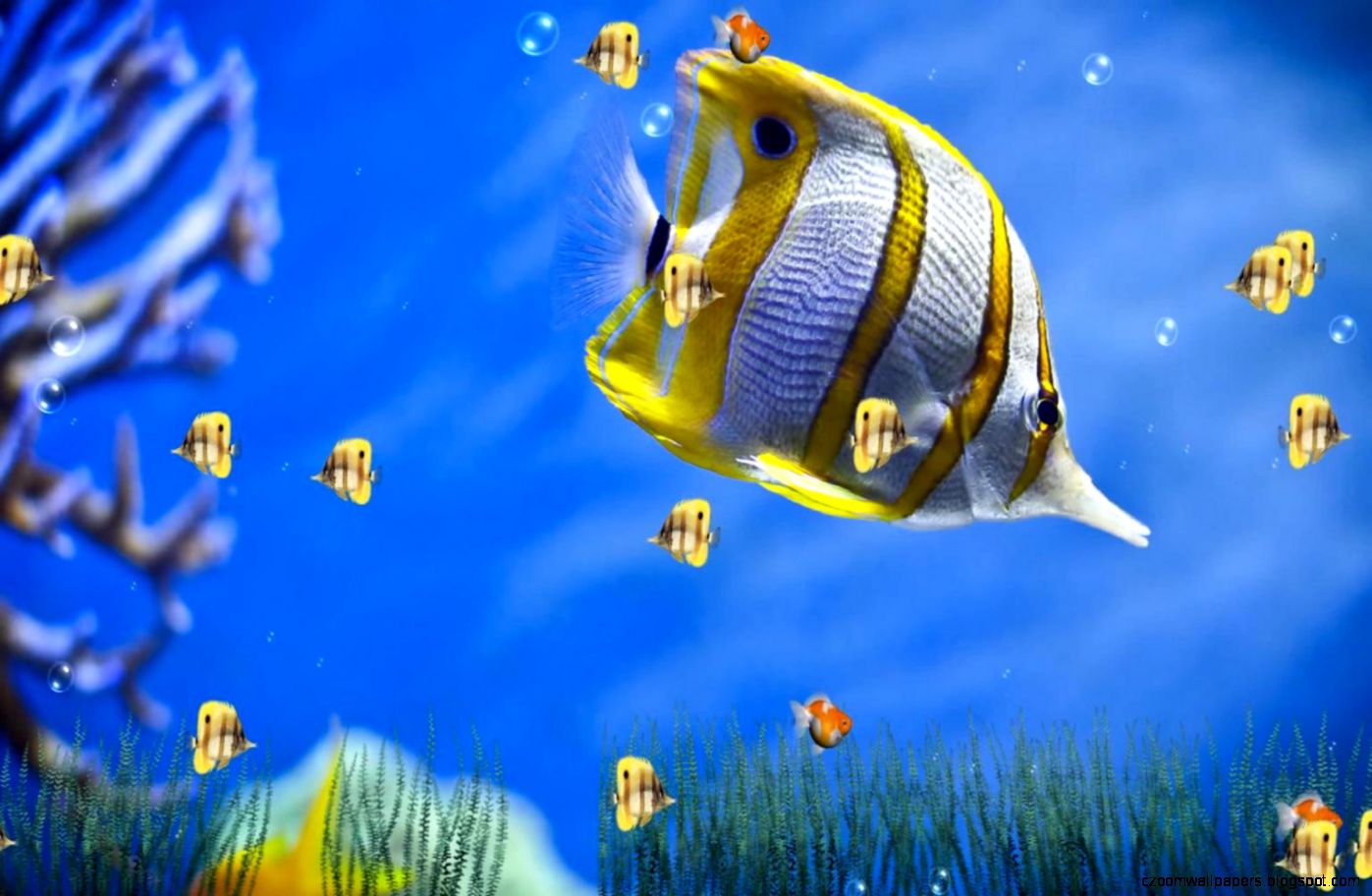 Animations Download HD Wallpapers Animations Download HD Wallpapers