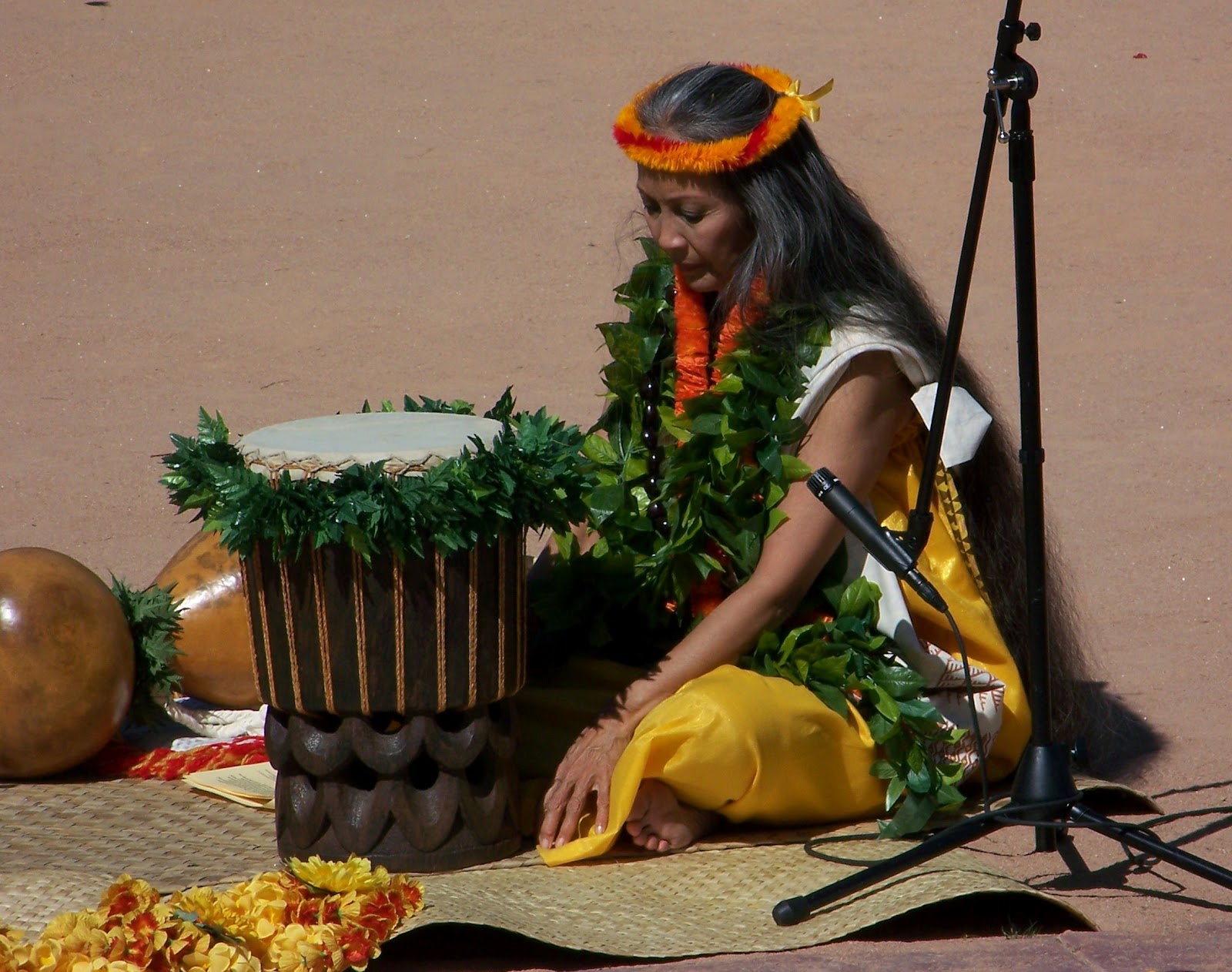 Hawaiian PAHU Drum Instrumental Vicissitude