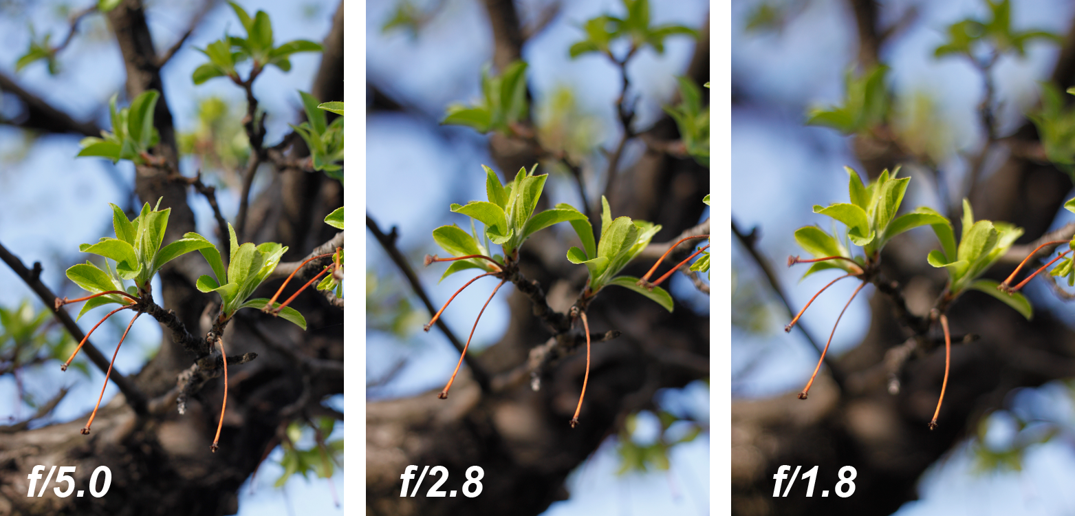 Different levels of bokeh and their f-stop value
